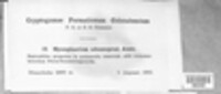 Image Associated With the Occurence